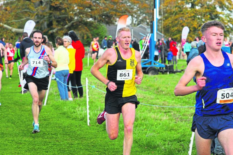 Kilkenny athletics - what a wonderful world it has been in 2018