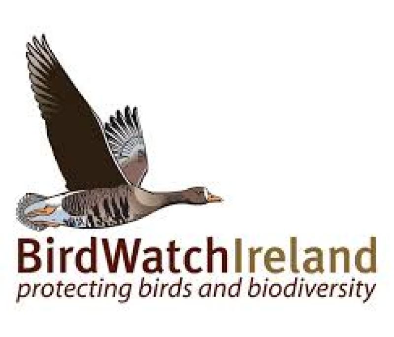 Birdwatch Ireland 