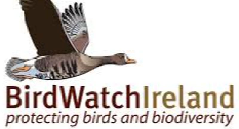 Barn Owl talk to be held in Kilkenny as part of Heritage Week