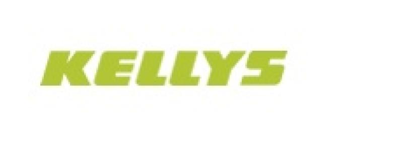Kelly's hiring technicians