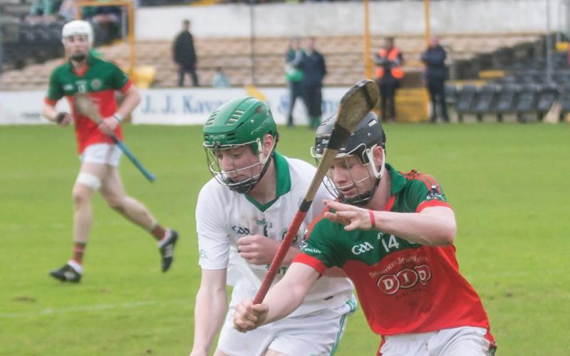 Shefflin to captain Kilkenny hurling team