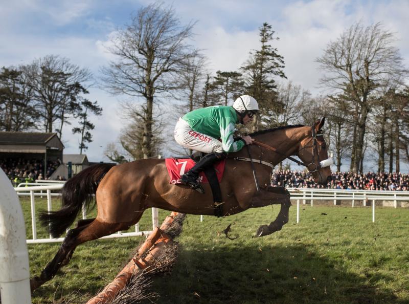 Presenting Percy all set for big return in Gowran Park 