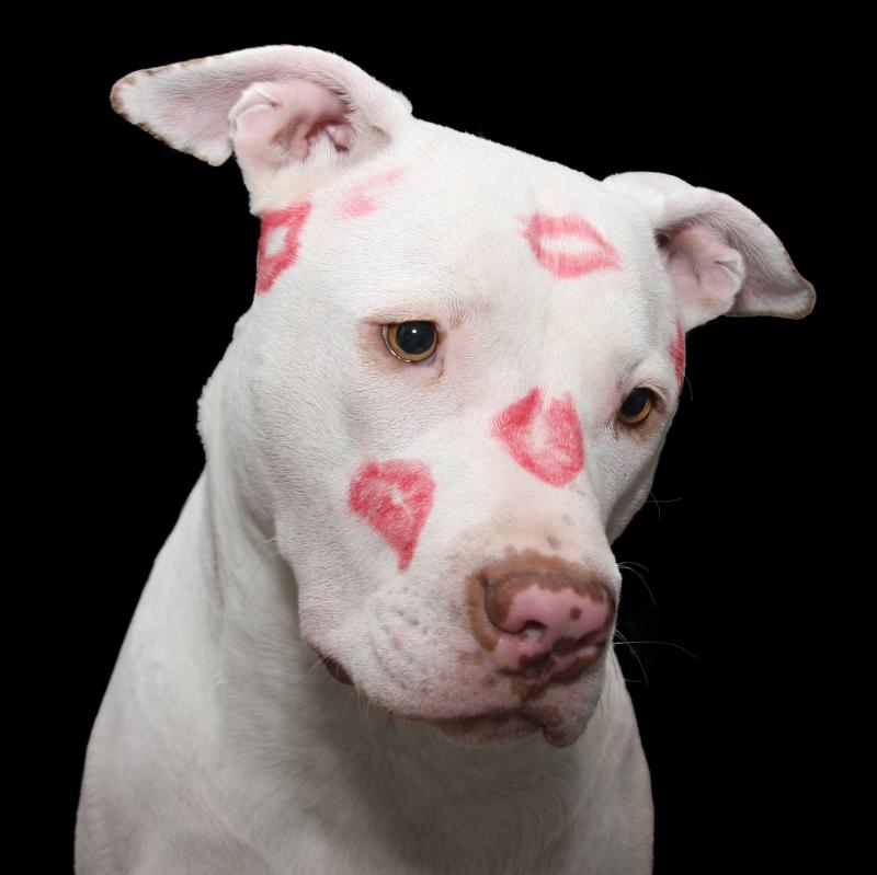 BE MY VALENTINE