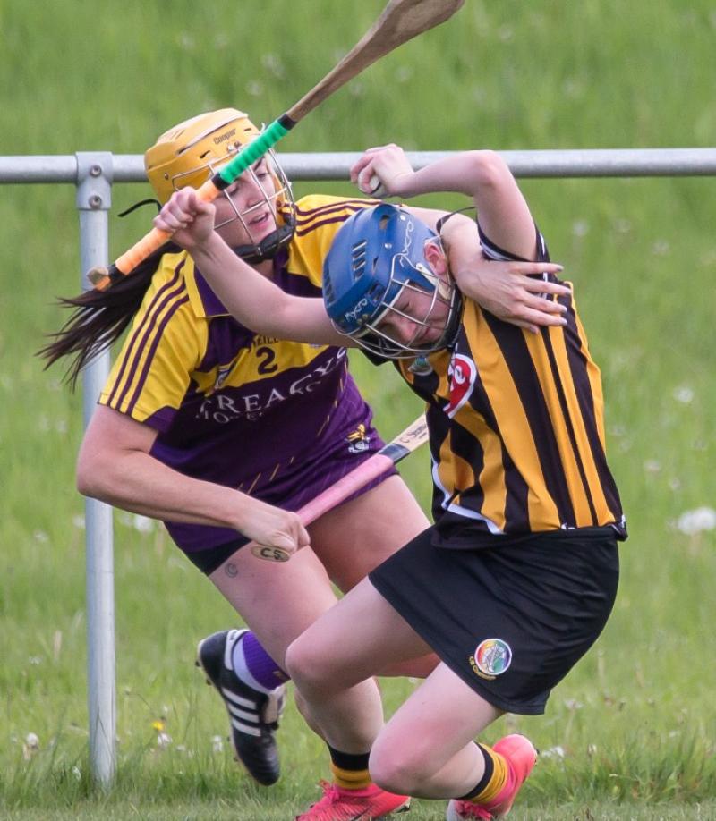 Quilty late point earns Kilkenny win over Limerick and top spot in camogie group