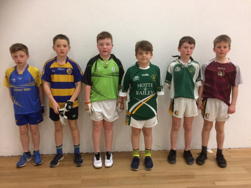 Handball: the county wants more after successes in Kingscourt