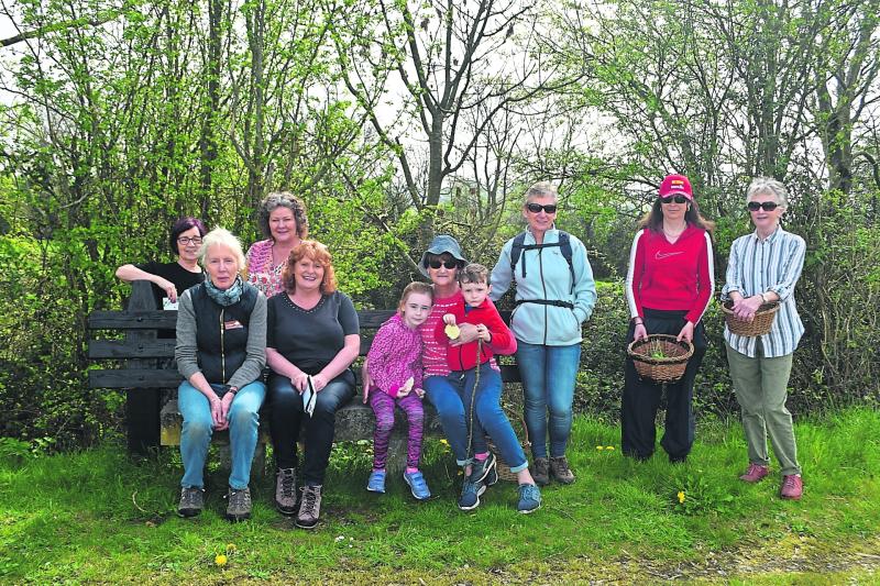 Easter foraging walk in Goresbridge