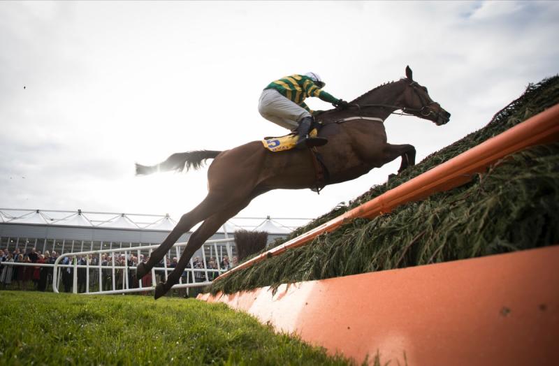 Irish national hunt champion jockey and trainer confirmed as season ends early