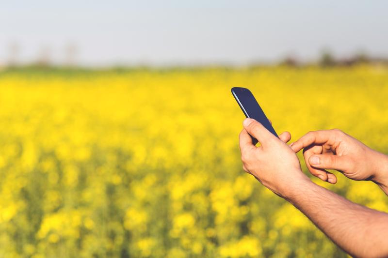 Ifac reminds Kilkenny farmers to protect farm data