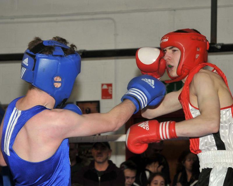 Marble City are top club in Leinster boxing