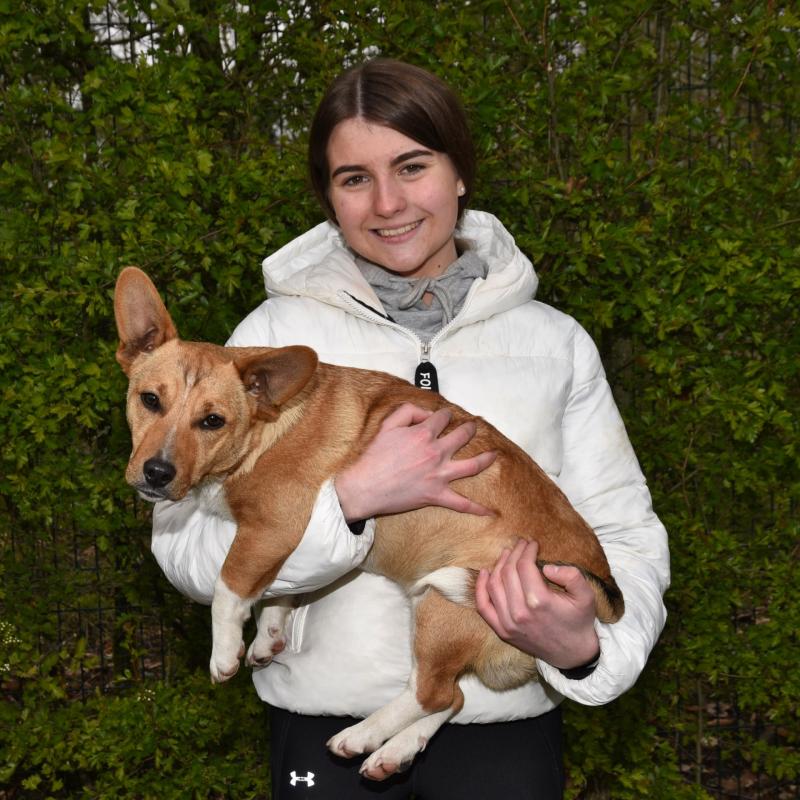 My Kilkenny Life: Sinead Healy