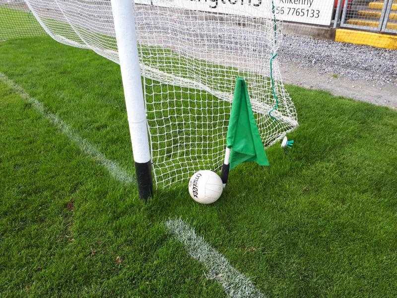 Kilkenny clubs set for Leinster football action