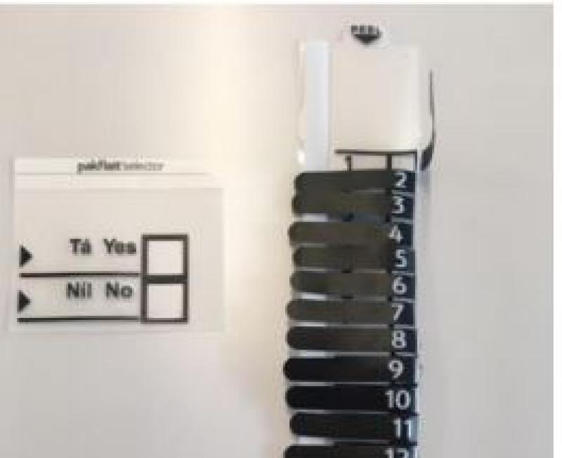 Examples of ballot paper templates for referendum/plebiscite ballot paper on left and  for local and European election ballot papers on right.