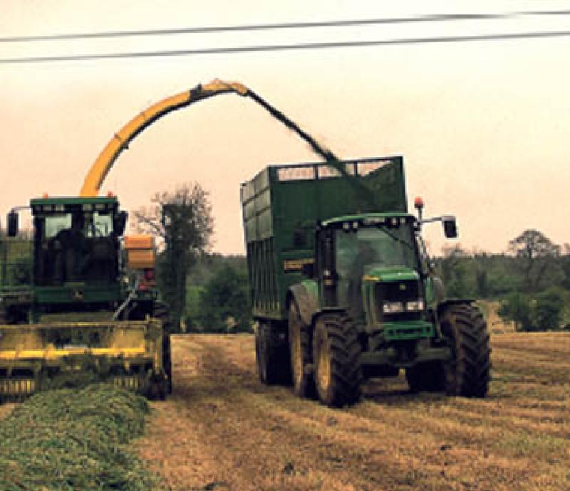 Co Kilkenny farmers warned of dangers of cutting silage as ESB Network offers guidelines