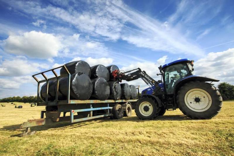 Online applications for 'crucial' €56m fodder support scheme now open - McConalogue