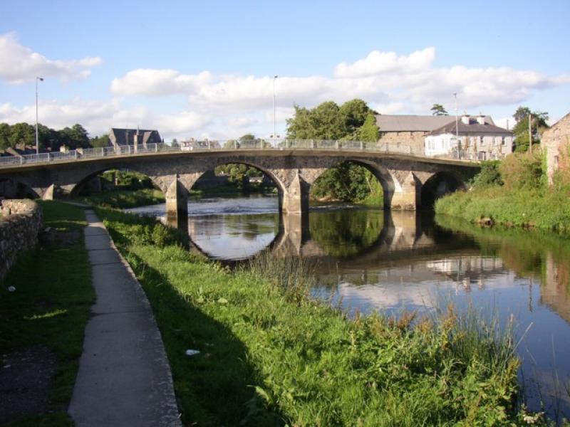 Increase in pollution of Kilkenny rivers and lakes a 'disaster' 