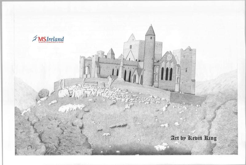 Kilkenny artist to auction art for MS charity