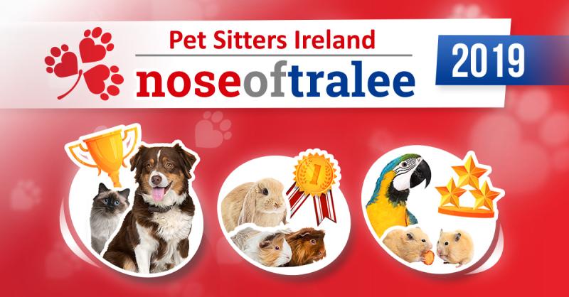 NOSE KILKENNY