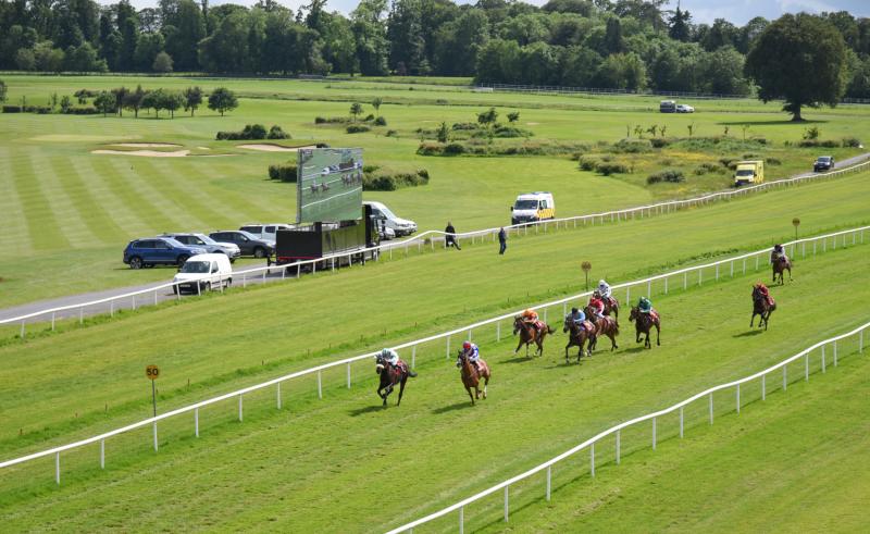 Debut win for O'Brien's Laburnum at Gowran Park