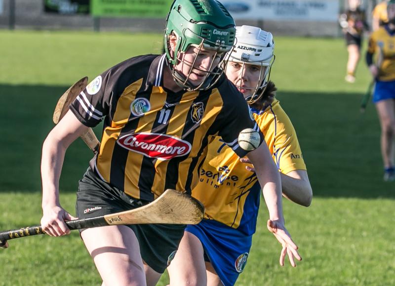 Camogie: Cats open up championship with hard fought victory over Clare