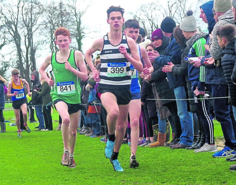 Kilkenny athletics: no little joy as McEvoy makes the grade for Europe