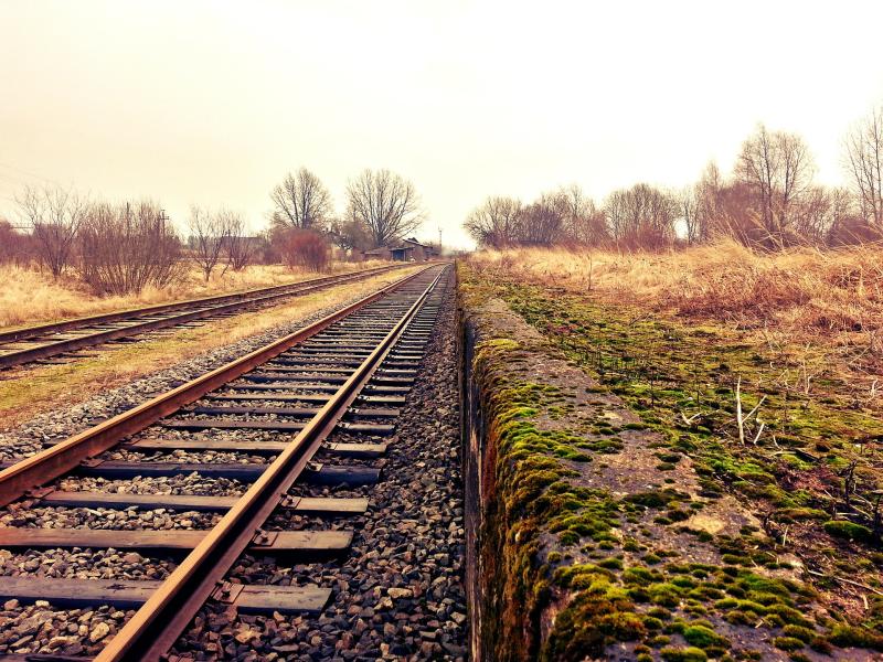Magic of rail brought back to life this summer