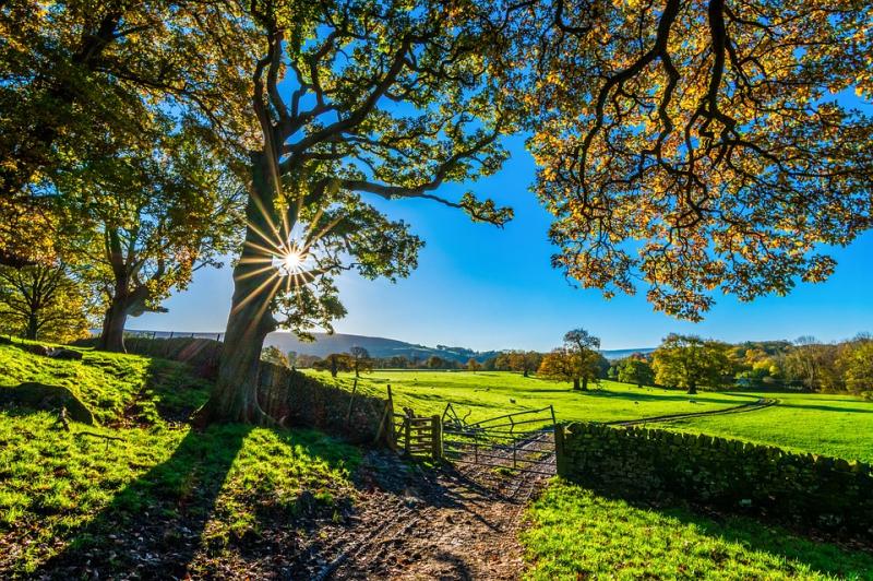 Farmland