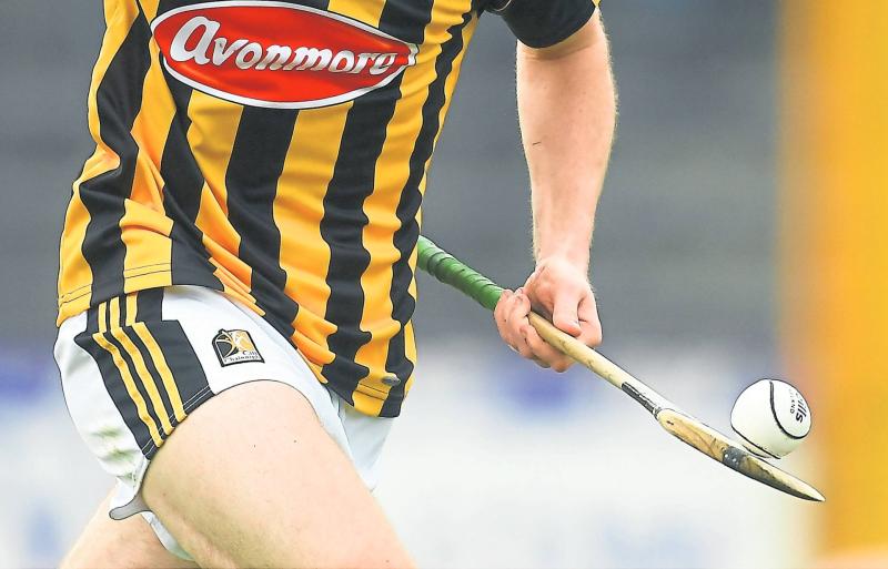 Hurling: Evan Shefflin goal leads Kilkenny to Leinster under-20 glory 
