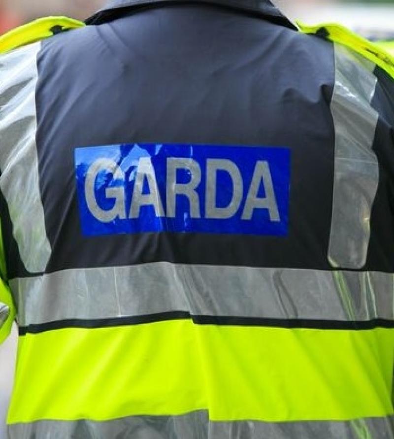 Gardaí in Kilkenny issue warning over brazen 'cat' thieves