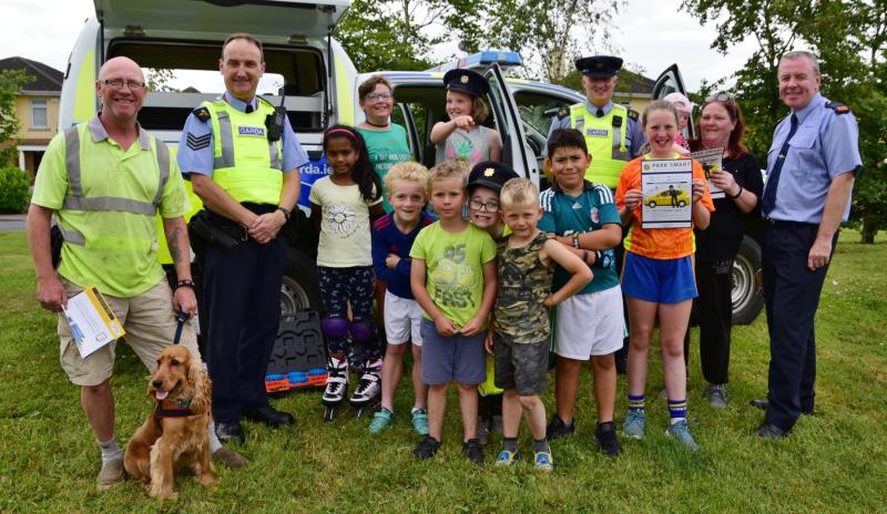 Operation HomeSafe is a huge success in Kilkenny 