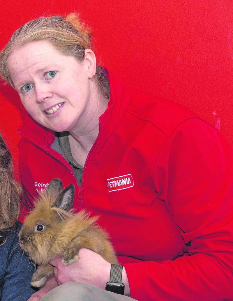My Kilkenny Life: Deirdre Damasceno Wall 