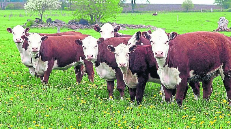 Kilkenny farming talks