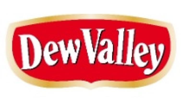 Vacancy: Do you want to join the team in Dew Valley