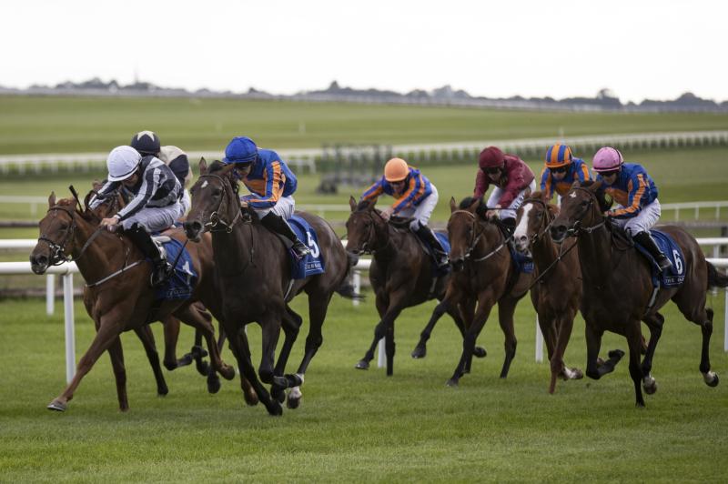 HRI announce replacement Flat fixture for Gowran Park