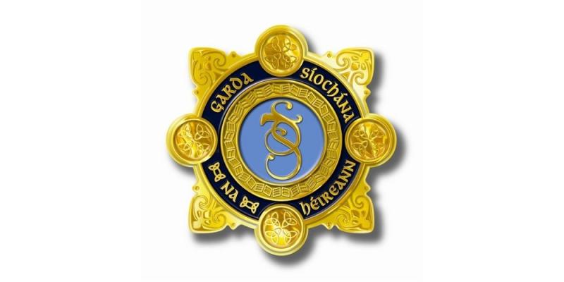 Kilkenny Gardaí make serious arrest on local road 