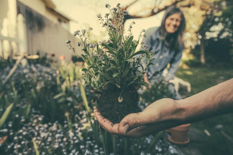 Gardening Gift Guide