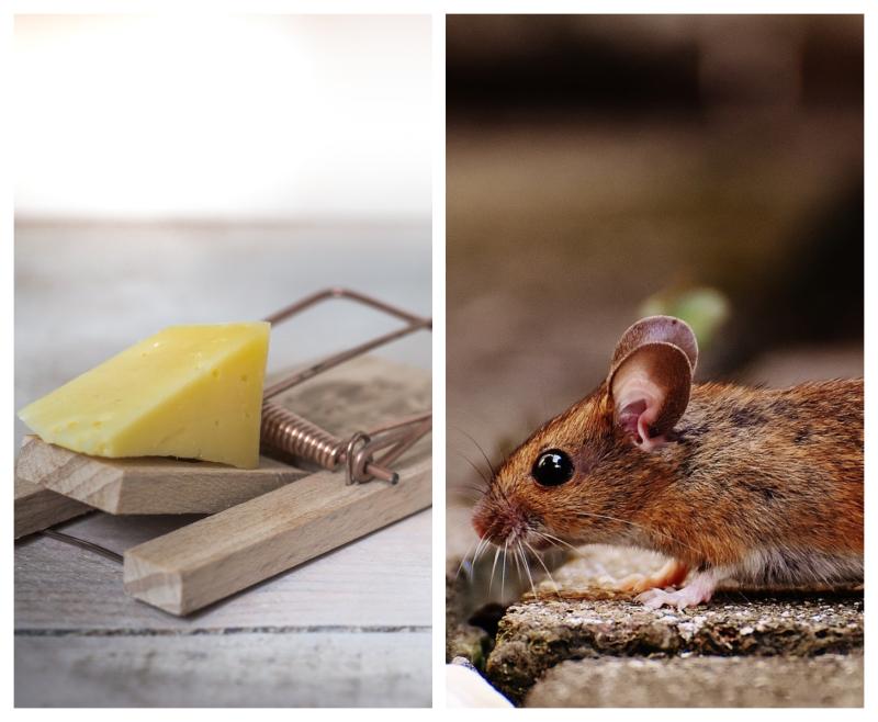 Kilkenny Kilkenny Kilkenny