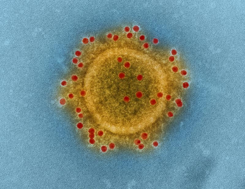 Outbreak of Covid-19  
