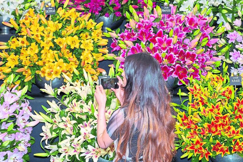 Plan ahead for annual flowers