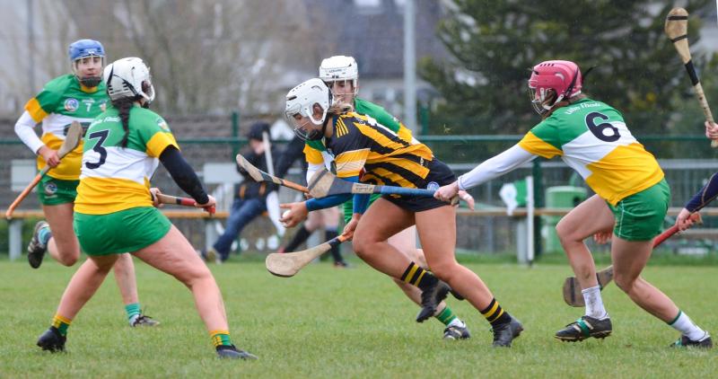 Second Camogie League defeat for Kilkenny ends interest in top end of table