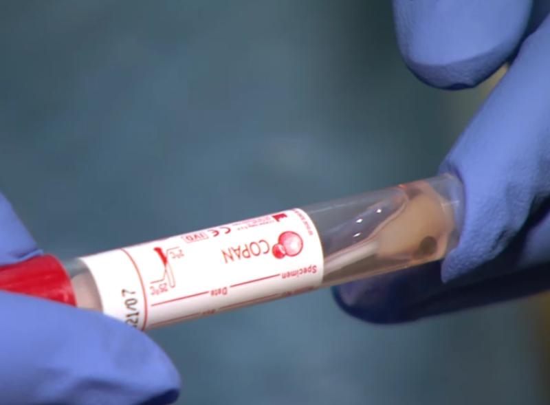 Explainer:  Why are vaccinations not starting in Kilkenny nursing homes until January 14