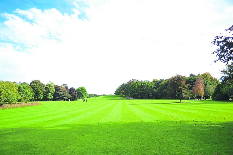 Kilkenny