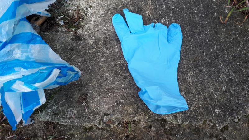 Kilkenny's litter-picking heroes should take a break during Covid-19 crisis - council