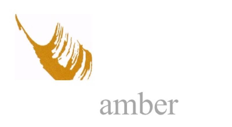 Amber receives €8,000 donation from Kilkenny People of the Year Awards