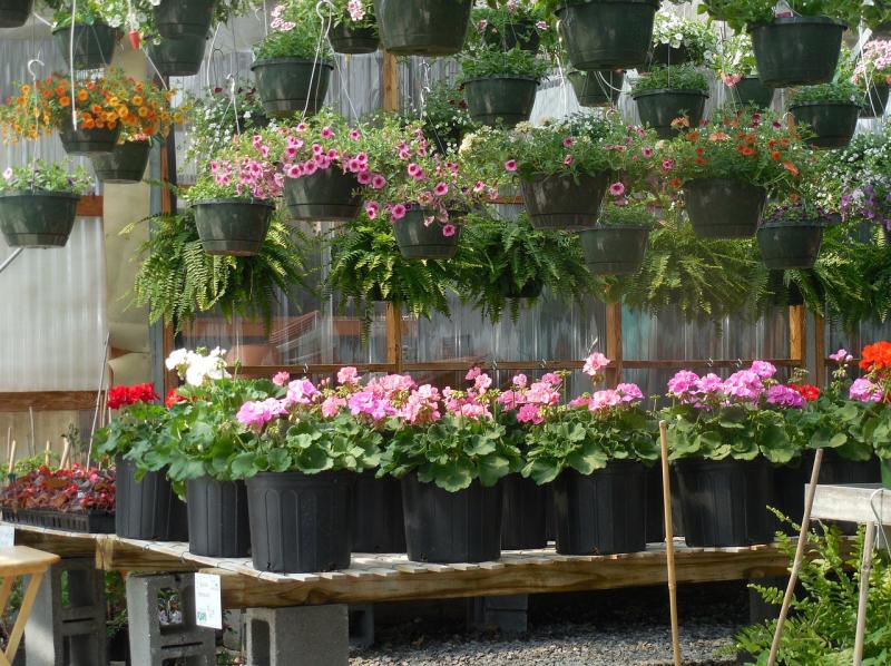 Happy is the gardener who is a busy gardener!