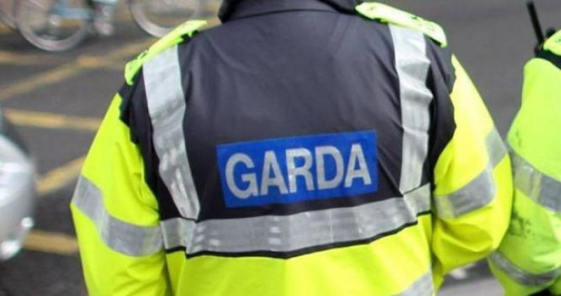 Gardaí investigate theft in Kilkenny