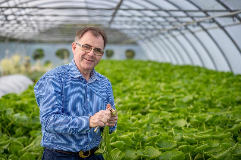 Kilkenny-based company FitzGerald Nurseries appoints new general manager 