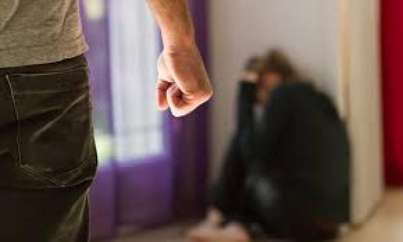 Laws needed to 'empower' gardaí in incidents of domestic violence claims Kilkenny election candidate 