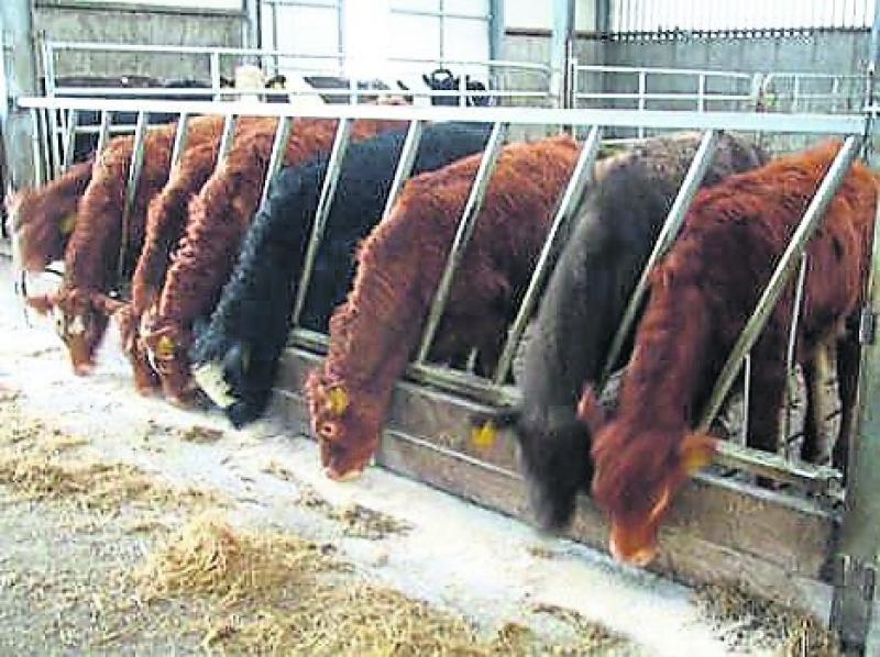 Farming