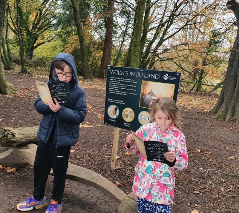 Wolfwalkers Trail proves to be a huge success at the Castlecomer Discovery Park