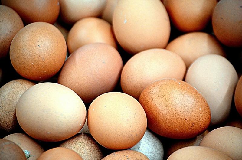 Batches of eggs recalled from Irish supermarkets due to salmonella fears  